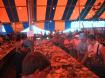 thumbs/puncarnival3.jpg